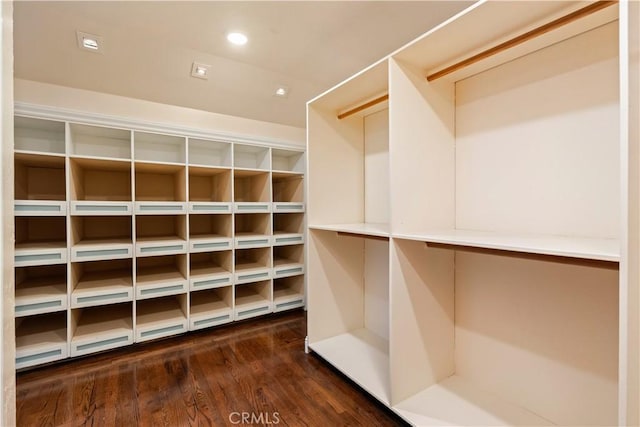 spacious closet featuring dark wood-style floors