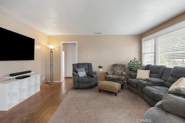 living room featuring wood-type flooring