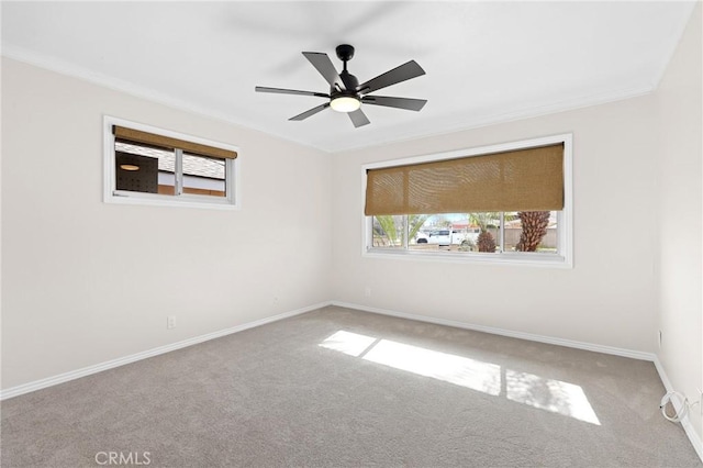 empty room with ornamental molding, ceiling fan, and carpet