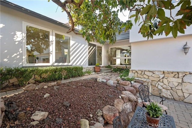 view of yard featuring a patio area