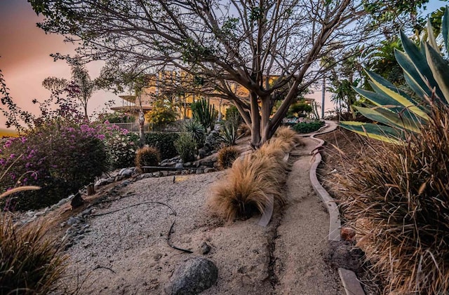 view of yard at dusk