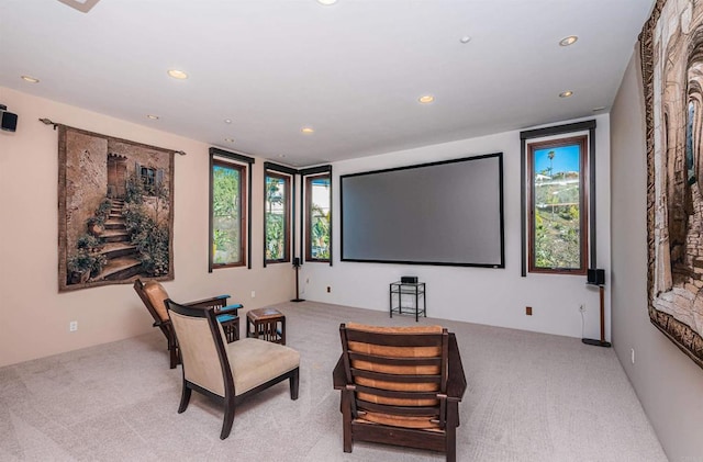 view of carpeted cinema room