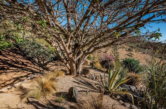 2362 Edgehill Rd, Vista, CA 92084 - view of landscape