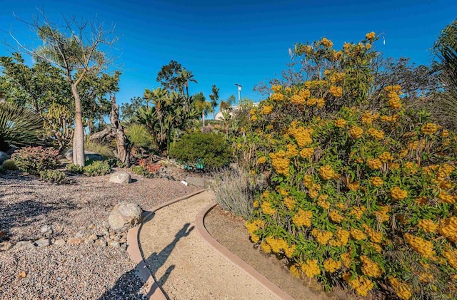 2362 Edgehill Rd, Vista, CA 92084 - photo 53