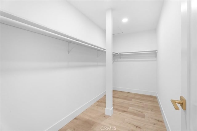 spacious closet featuring hardwood / wood-style floors