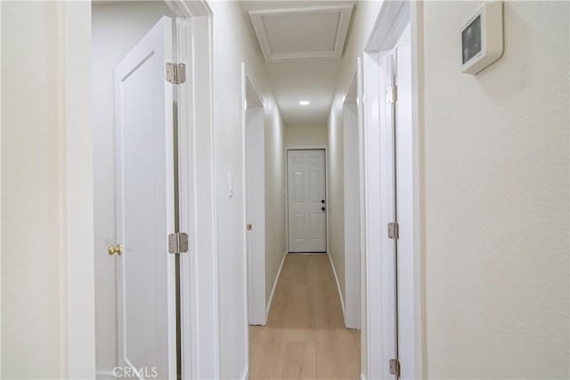 hall featuring light wood-type flooring