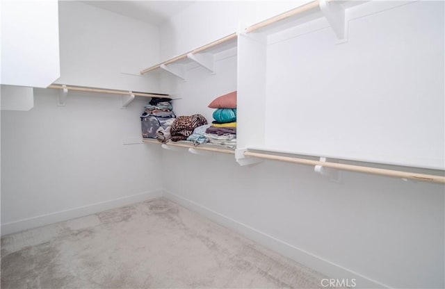 walk in closet featuring carpet