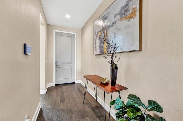 hallway featuring dark hardwood / wood-style floors