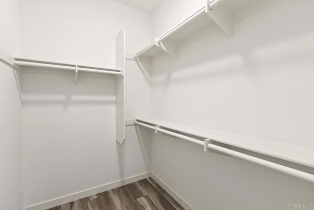 walk in closet featuring dark hardwood / wood-style flooring