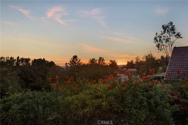 view of nature at dusk