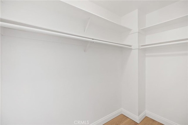 walk in closet featuring light wood-style flooring