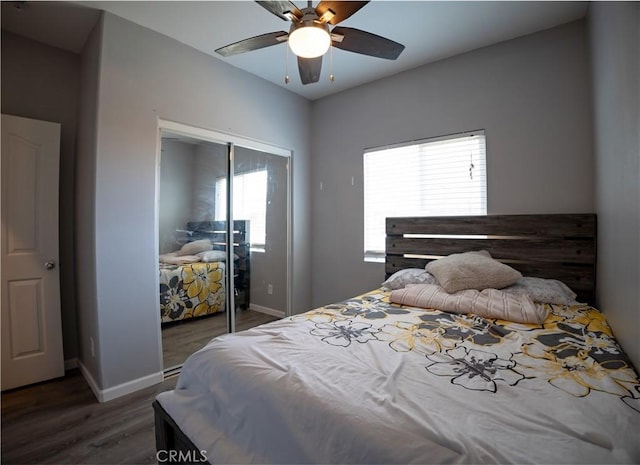 bedroom with ceiling fan, a closet, and dark hardwood / wood-style flooring