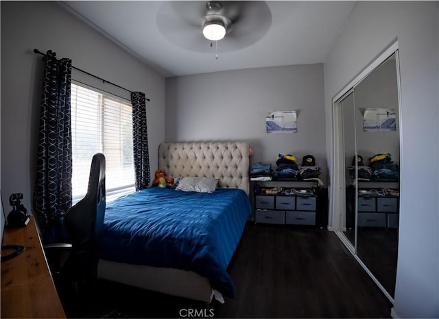 bedroom featuring ceiling fan and dark wood-type flooring