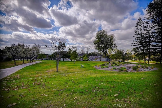 view of community with a yard