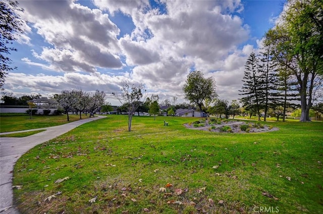 view of home's community with a yard