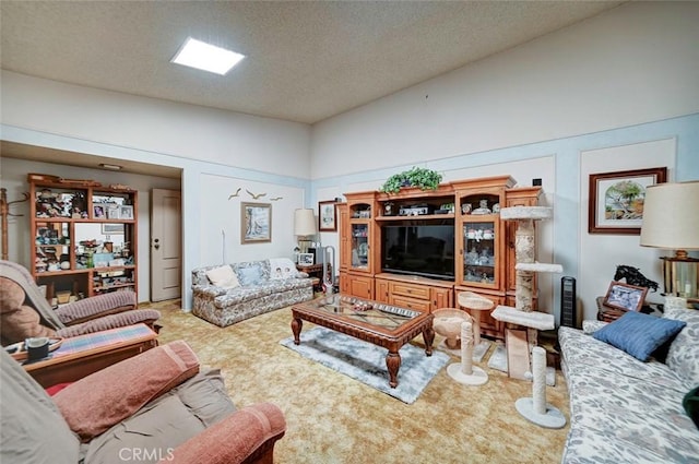 living room featuring carpet floors and a textured ceiling