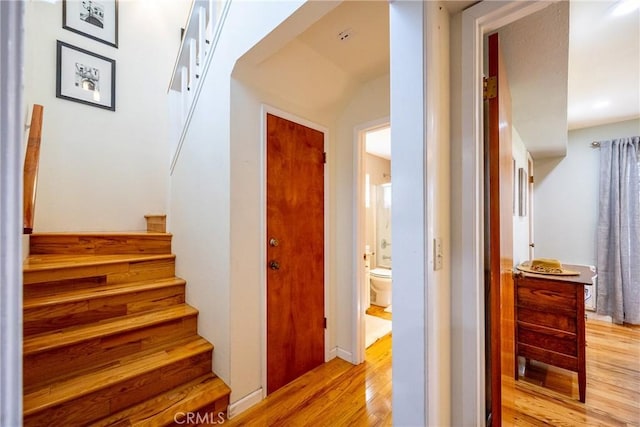 staircase with hardwood / wood-style flooring