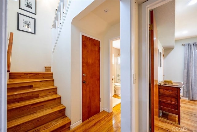 stairs with hardwood / wood-style floors