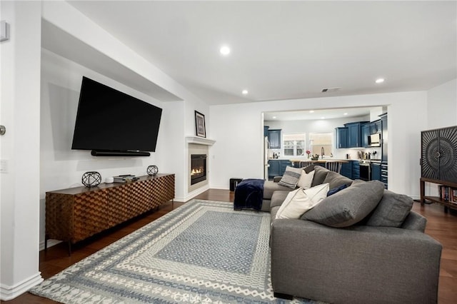 living room featuring dark hardwood / wood-style flooring