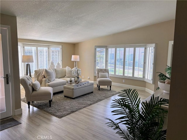 living room with lofted ceiling, a textured ceiling, light hardwood / wood-style floors, and a healthy amount of sunlight