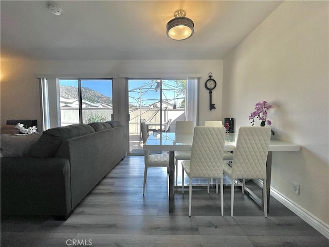 dining space with a mountain view, hardwood / wood-style floors, and a wealth of natural light