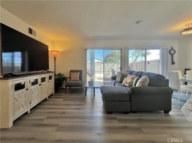 living room featuring wood-type flooring