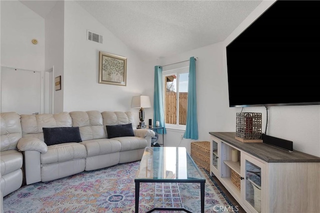 living room with vaulted ceiling and a textured ceiling