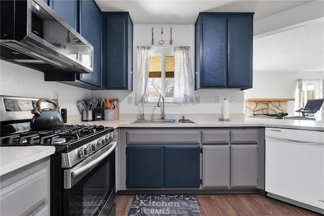 kitchen with appliances with stainless steel finishes, sink, a wealth of natural light, and blue cabinetry