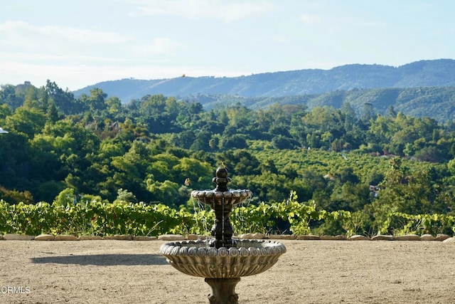 view of mountain feature