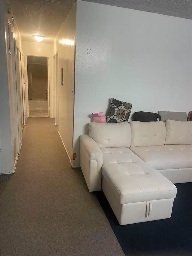 living room featuring a textured ceiling and carpet flooring