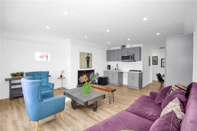 living room featuring sink and light hardwood / wood-style flooring