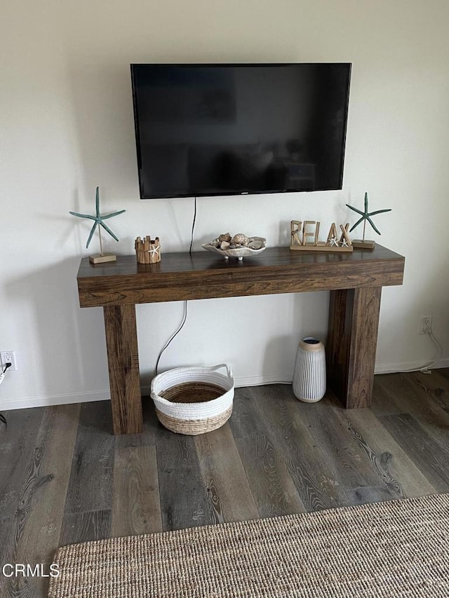 interior details with baseboards and wood finished floors