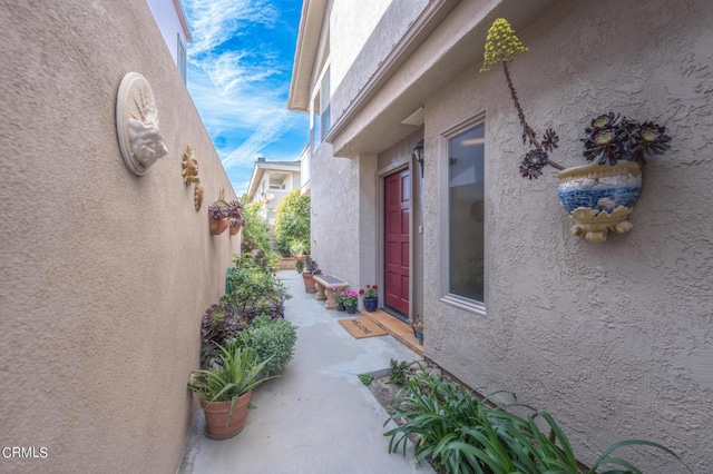 view of property exterior featuring stucco siding