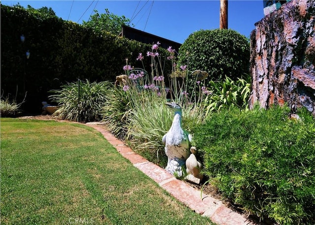 17 Barkentine Rd, Rancho Palos Verdes, CA 90275 - view of yard