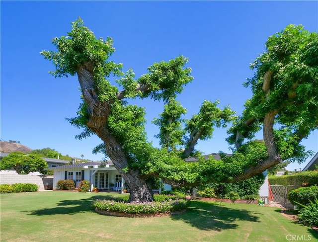 17 Barkentine Rd, Rancho Palos Verdes, CA 90275 - view of yard with french doors