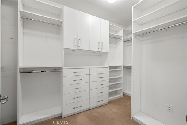 spacious closet with light colored carpet