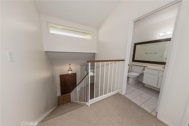 stairway featuring carpet flooring