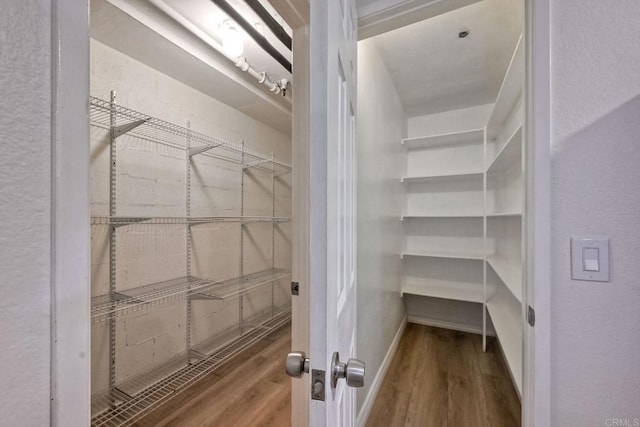 spacious closet featuring hardwood / wood-style flooring