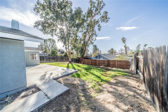 view of yard featuring a patio area