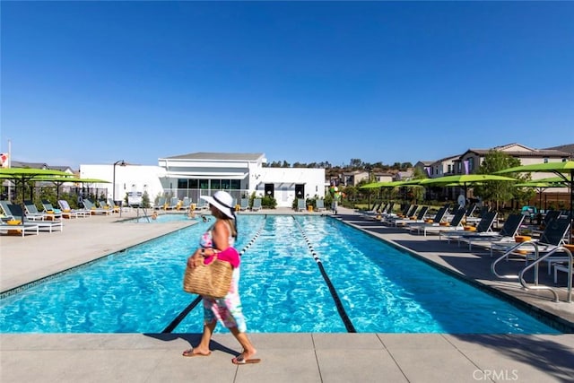 view of pool with a patio area