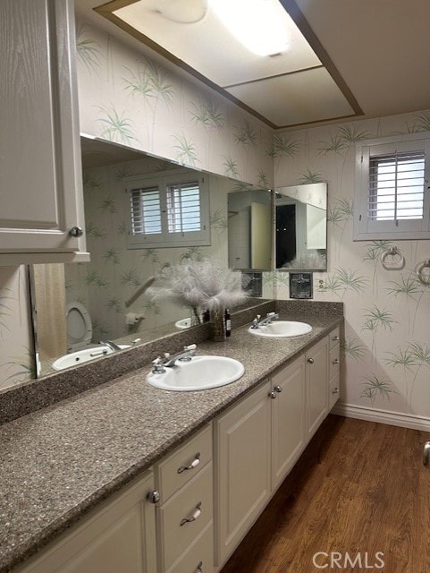 bathroom with wood-type flooring and vanity