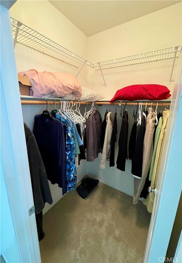 view of walk in closet