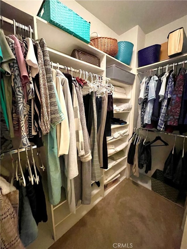 spacious closet with carpet floors