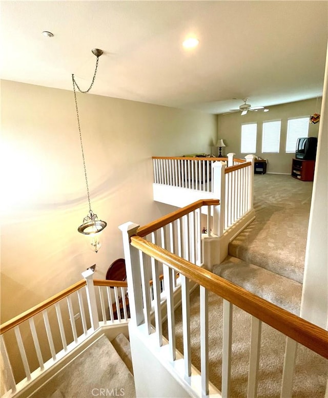 staircase featuring ceiling fan and carpet