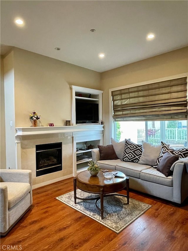 living room featuring a fireplace and wood-type flooring