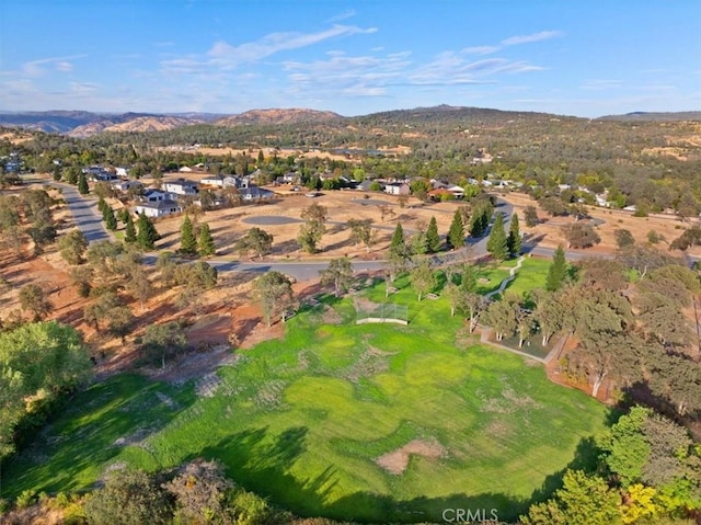 birds eye view of property featuring a mountain view