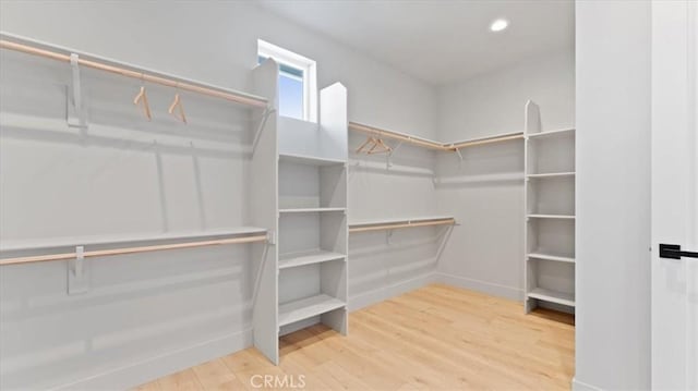 walk in closet with wood-type flooring