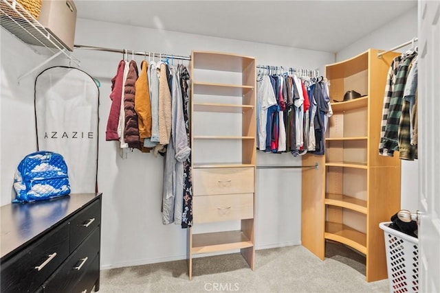 spacious closet featuring carpet