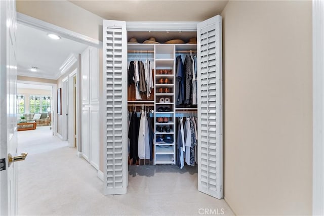 view of closet