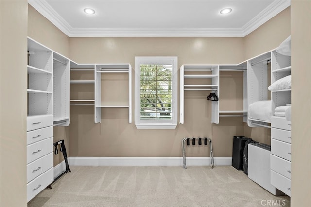 spacious closet featuring light colored carpet